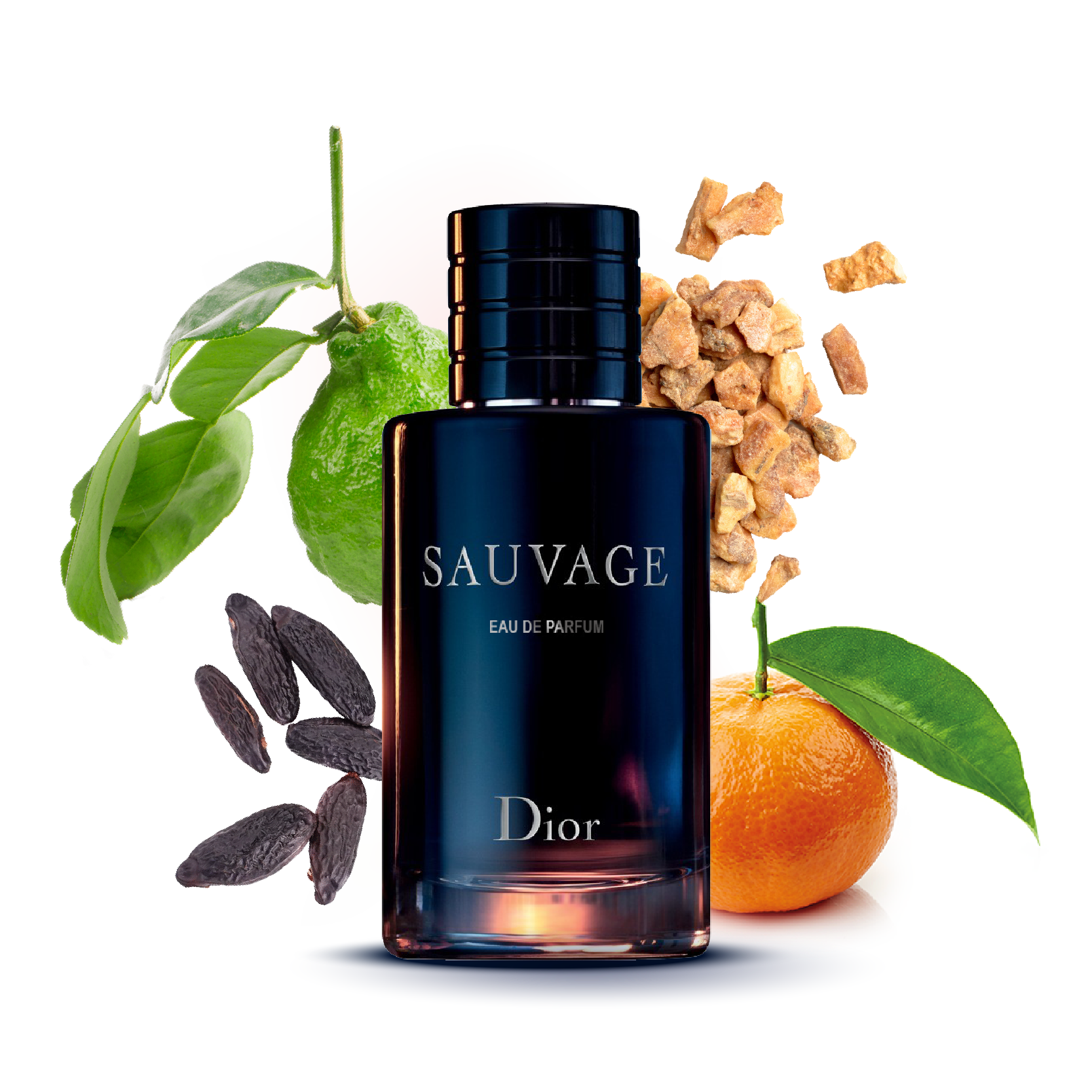 Sauvage  origin